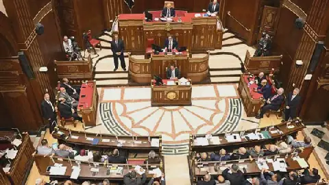 Egypt's Senate to Reconstitute Committee on Values