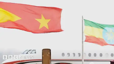 A close-up of a small plane at Mekelle airport, with the TPLP flag and Ethiopia flag flying in front of it - archive shot