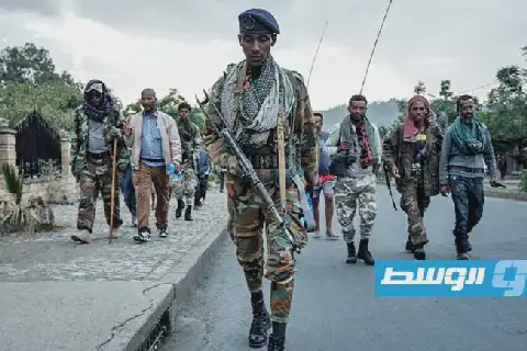 سلطات تيغراي: نتصدى لغزو تشنه قوات الحكومة الأثيوبية الفدرالية