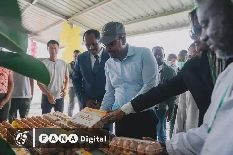 Ethiopia's Lemat Trufat Initiative Achieves Historic Success in Agricultural Transformation