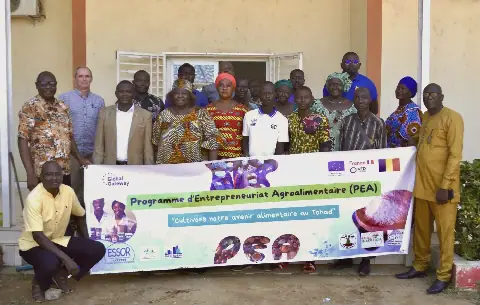 Sarh : l’AFDI mobilise les acteurs agricoles pour structurer les chaînes de valeur