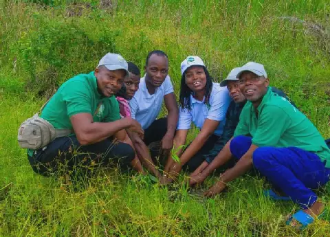 Africa Bamboo 2026: Benin Hosts Second Edition of Bamboo Promotion Event
