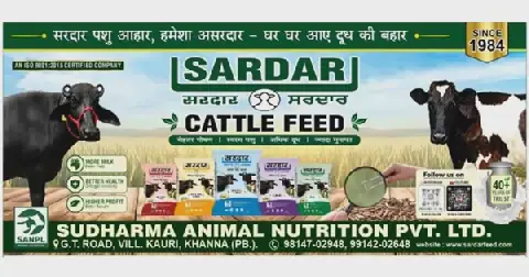 Sardar Cattle Feed Evolves from 1984 Family Legacy into Modern Cattle Nutrition Brand