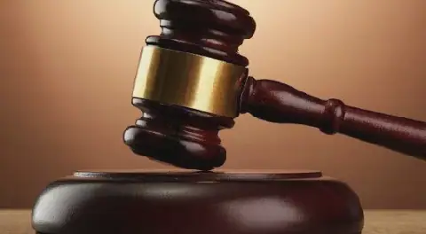 Land court strikes out logging ban petition