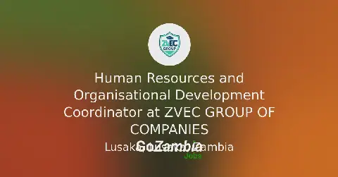 ZVEC Group of Companies Seeks Human Resources and Organisational Development Coordinator