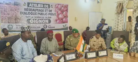 Niger Hosts Onion Value Chain Workshop in Tahoua