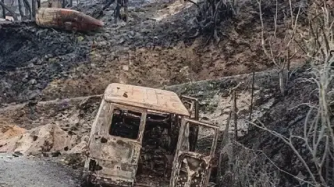 Algerian Authorities Report Devastating Wildfires