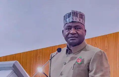 Defence Minister proposes compulsory military training for Nigerians