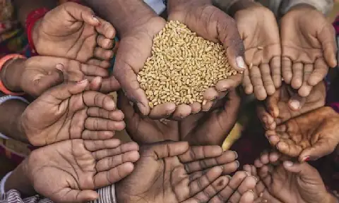 Usakos child malnutrition rate spikes despite fewer cases