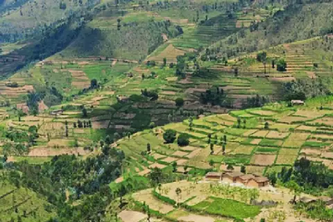 Rwanda: Government Retrieves 3,257 Land Parcels from Citizens