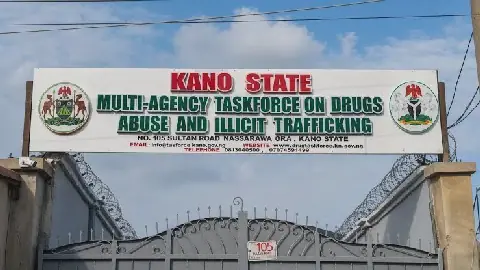 Kano Task Force Targets 10,000 Drug Abusers for Rehabilitation