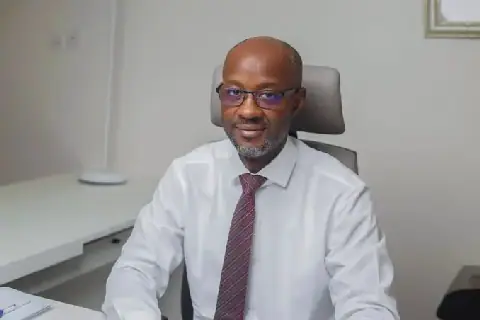 Expert Warns of Nigeria's Border Security Failures, Calls for Intelligence-Led NIS