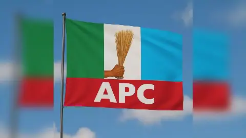 All Progressives Congress, APC
