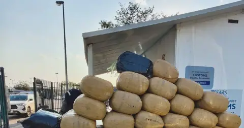 BMA officials showcase nearly a tonne of seized dagga, R1.9m in illicit tobacco and over R2m in suspected heroin from recent border operations. Picture: