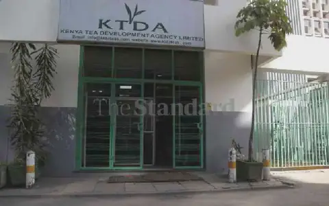 Kenyan Tea Farmers Anticipate Bonus Payments