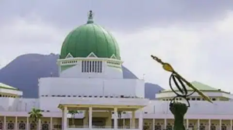 Only State Police Bill Transmitted to State Assemblies, Says NASS