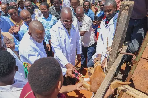 State hands Bachuma Livestock Centre to Blue Mountain