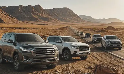 Shift in Namibia's Vehicle Market: Chinese Brands Gain Ground