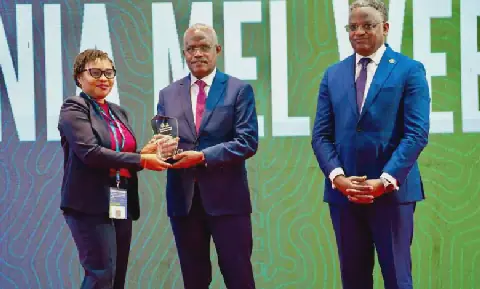 Tanzania's Ministry of Energy Wins Best Performing Ministry Award