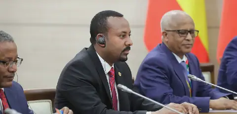 Ethiopie : les rebelles du Tigré évoquent une « guerre totale » avec le gouvernement
