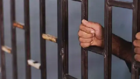 Egypt Court Holds First Hearing in Ismail Dollar's Case