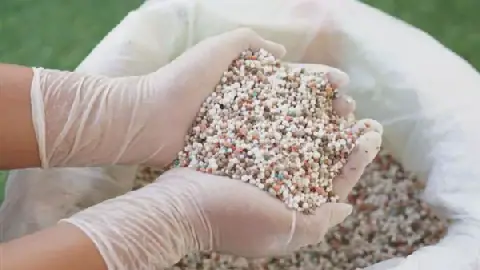 Large Drop in Urea and Ordinary Nitrate Fertilizer Prices in Egypt