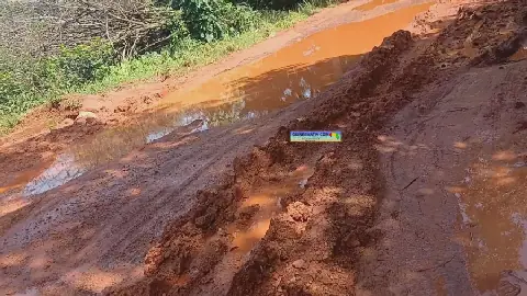 Guinea's Yembering-Mali Road: A Perilous Journey for Travelers