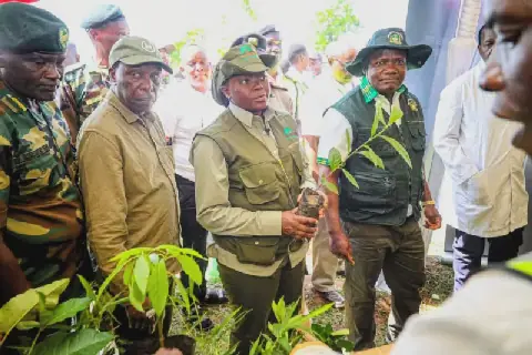 Families in three forests to get title deeds at last