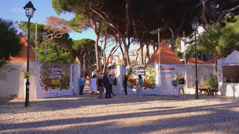 Cascais Hosts Vibrant Latin American Market Festival