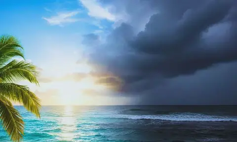 Meteorological