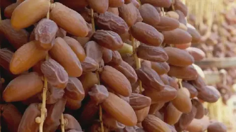 Tunisia's Date Exports Surpass 1 Billion Dinars for First Time