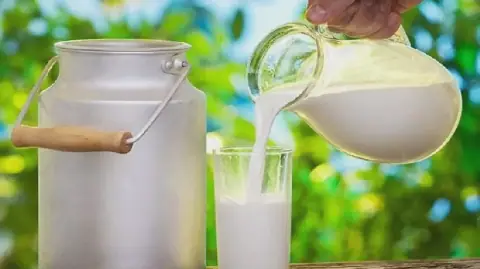 Tunisia Sets 2026 Sterilized Fresh Milk Stock at 19.8 Million Liters