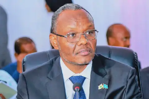 Former South West President calls for probe into Baidoa and Doolow attacks