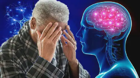 Experts Emphasize Prevention and Risk Factor Control in Alzheimer's Disease