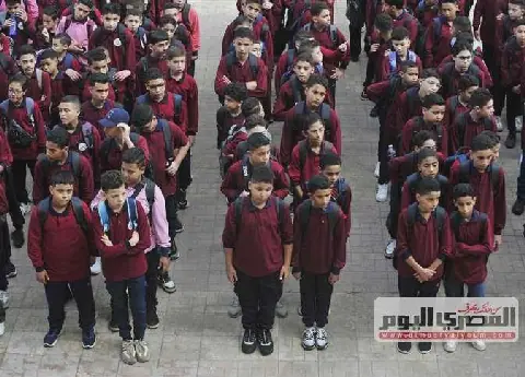Egyptian Parents Raise Concerns Over Bed Bugs in School