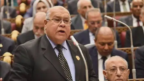 Egyptian Prime Minister's Speech at the United Nations Carries Clear Messages
