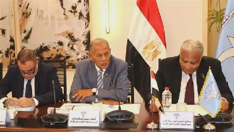 Egypt's National Human Rights Council Discusses Freedoms in Information Exchange