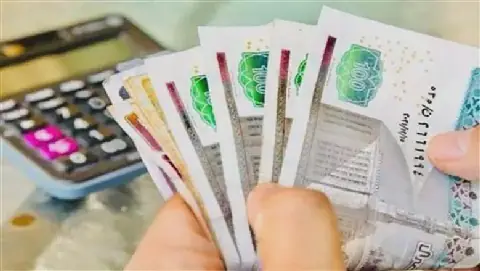 Egyptian Ministry of Finance Launches Employee Portal for Salary and Tax Information
