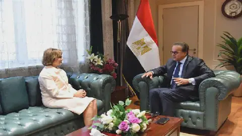 Egypt Eyes Medical Device Manufacturing Hub Status with Philips