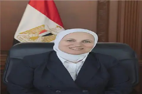 Egyptian Education Official Denies Presence of Bed Bugs in School
