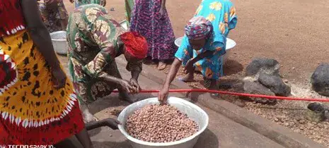 Shea Processing Lifeline for Sorugu Women Threatened by Lack of Machinery