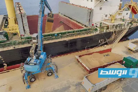 حصار البحر الأسود يهدد بصدمة في إمدادات الغذاء العالمية
