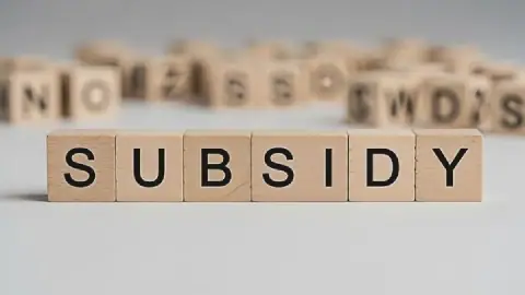 Nigeria's Subsidy Landscape More Complex Than Petrol Price Control