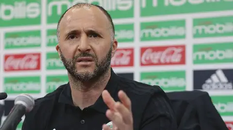 Algerian Football Coach Belmadi Addresses Rumors and Future Goals