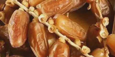 Tunisia's Date Exports Surpass 1 Billion Dinars for First Time