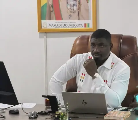 Guinea's Laws on Presidential Insults and Freedom of Expression