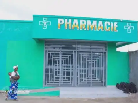 RDC: les pharmaciens appellent à leur intégration dans le programme de santé publique congolais