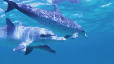 Forum mondial de la Mer 2026 : diagnostics, leviers et appels à l’action
