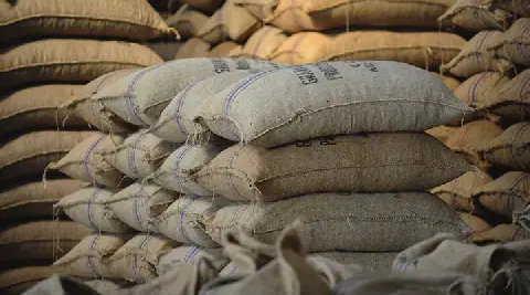 Ghana opens 2026/27 Cocoa Season with producer price of Ghc 42,400 per tonne