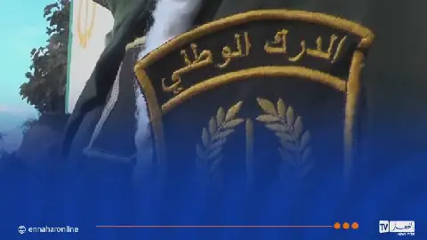 Algerian Authorities Warn Against Misusing Foreign License Plates